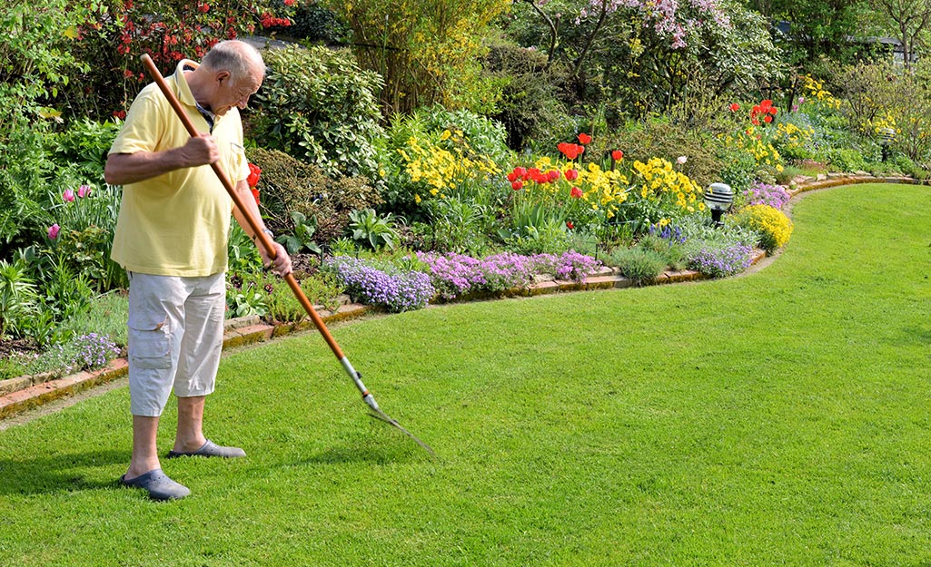 Lawn Care For Beginners Tips