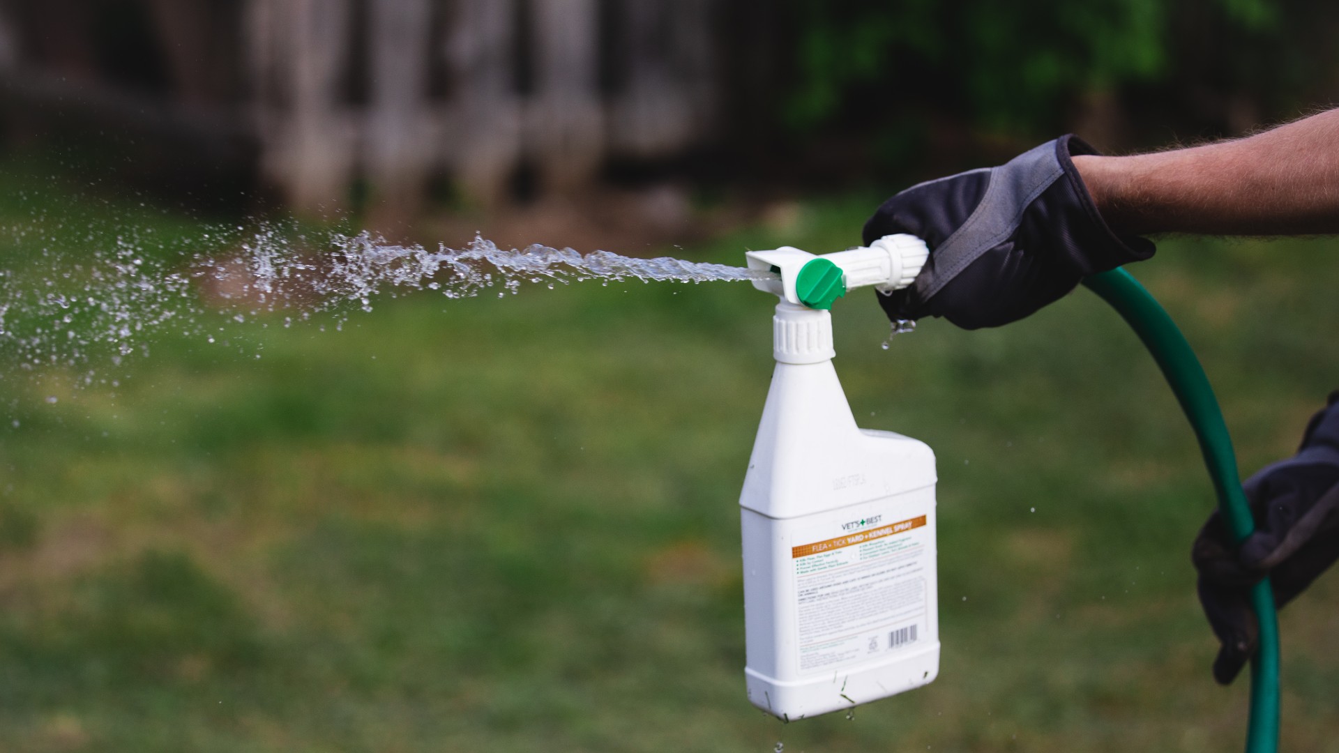 Insect Killer for Lawns