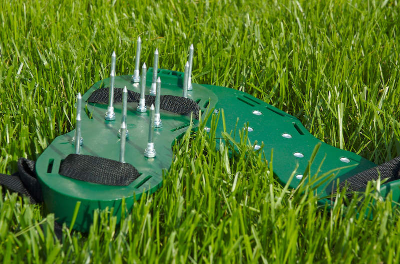 What Does Lawn Aeration Do To Your Lawn