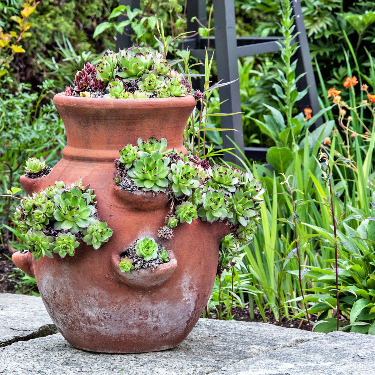Terracotta Pots with Side Holes