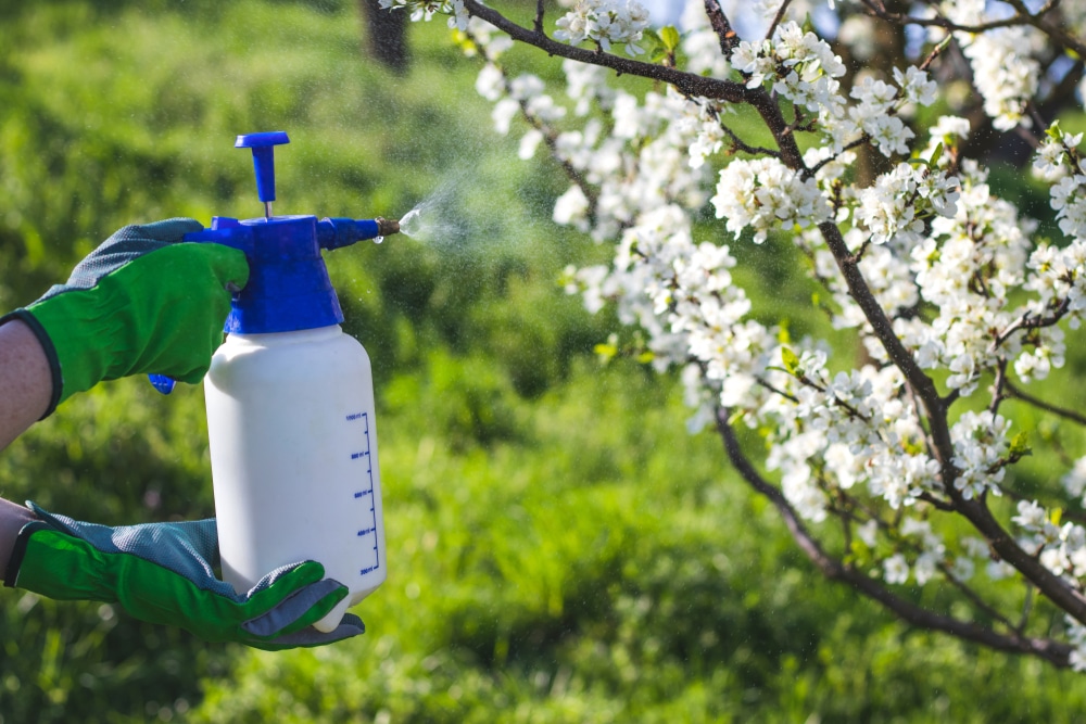 Atomizer Sprayer For Plants