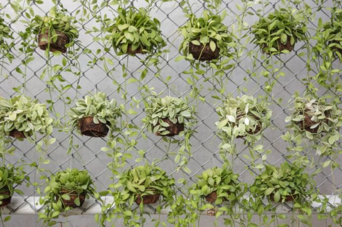 Chain Link Fence Planters