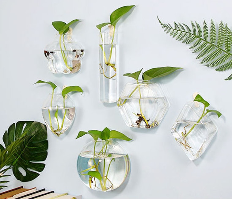 Glass Wall Planters