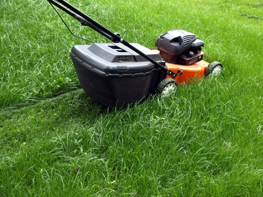 Best Lawn Mower Under $200