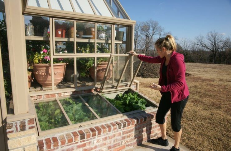 Greenhouse Cold Frames