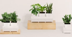 Advantages of Using a Self-Watering Herb Planter