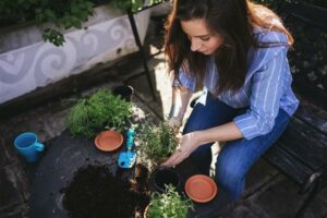 Characteristics of Quality Potting Soil