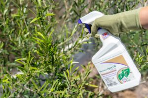 Horticultural Oils - Pest Control Products