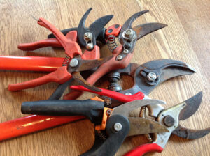 How to clean pruning shears?