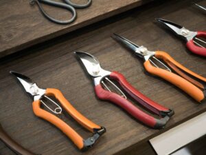 how to choose the correct pruning shears?